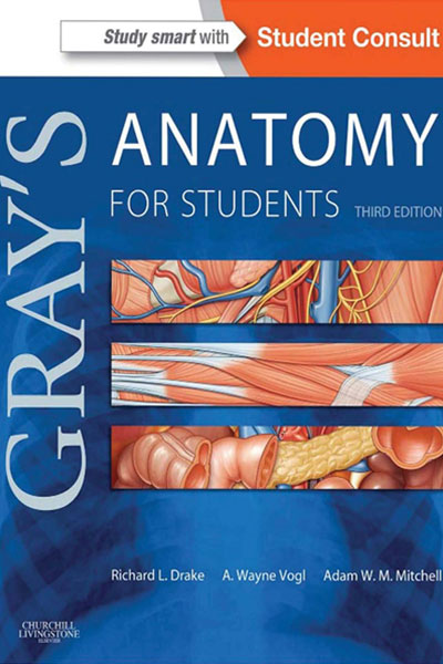 Grays Anatomy for Students 3rd 2015