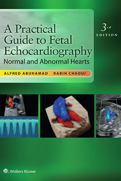 A Practical Guide to Fetal Echocardiography: Normal and Abnormal Hearts ...